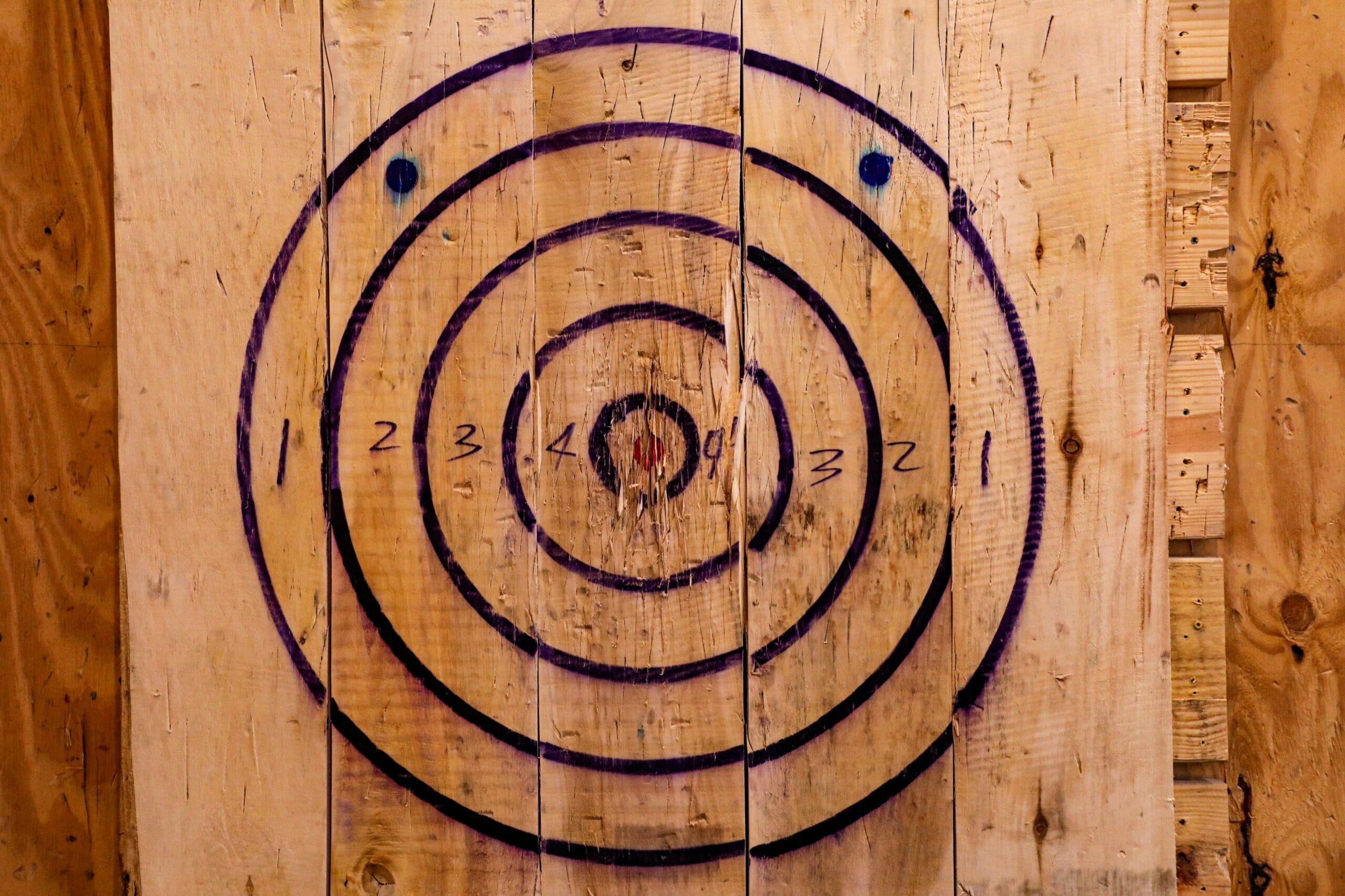 Target Operating Model in Carve Outs